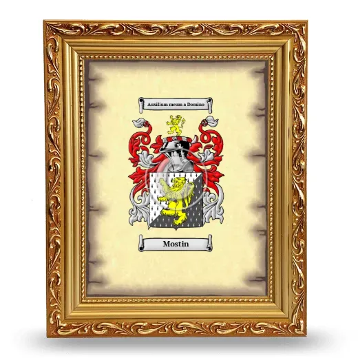 Mostin Coat of Arms Framed - Gold