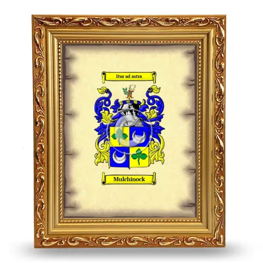 Mulchinock Coat of Arms Framed - Gold