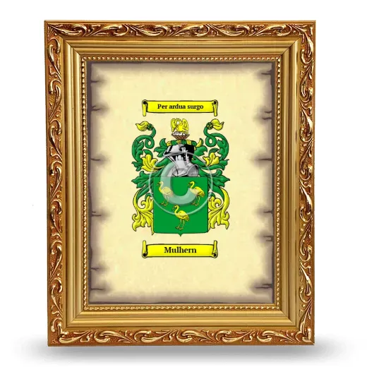 Mulhern Coat of Arms Framed - Gold