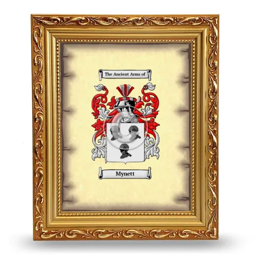 Mynett Coat of Arms Framed - Gold