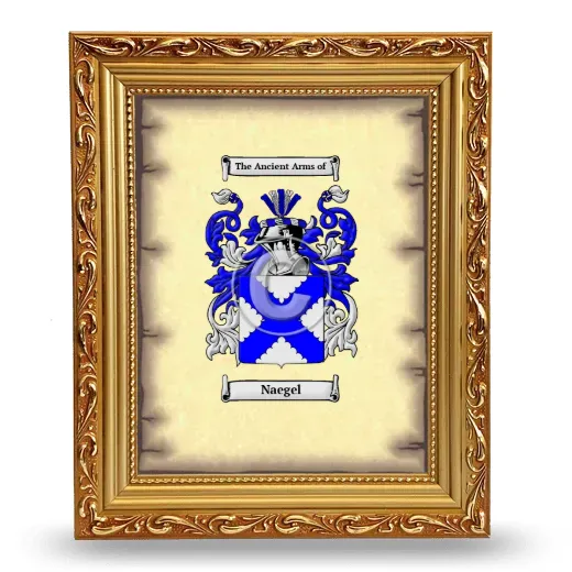 Naegel Coat of Arms Framed - Gold