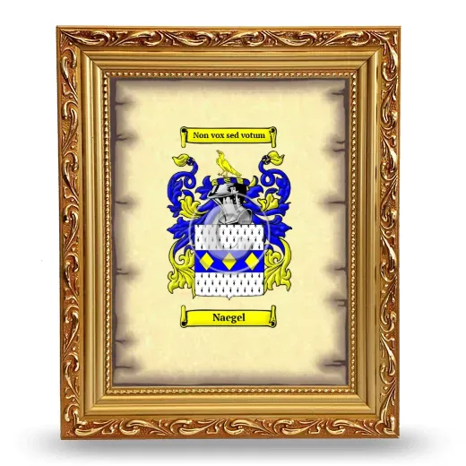 Naegel Coat of Arms Framed - Gold