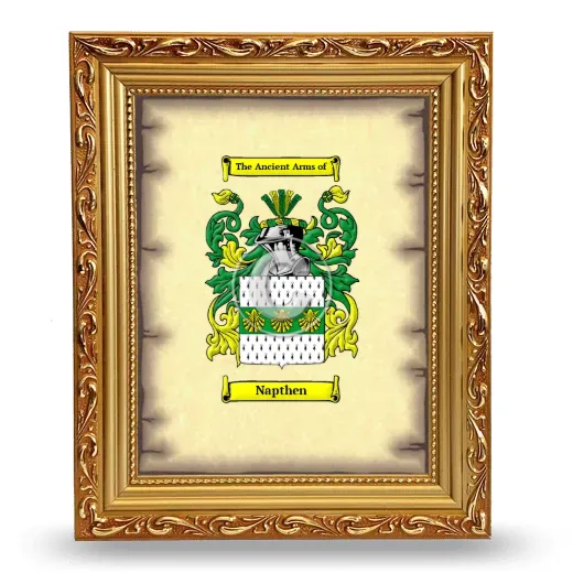 Napthen Coat of Arms Framed - Gold