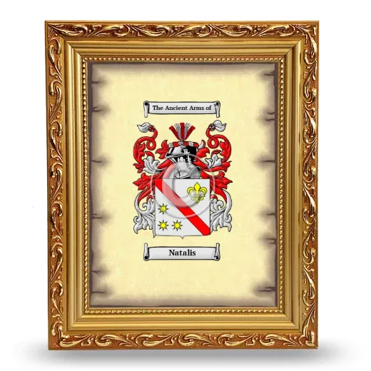 Natalis Coat of Arms Framed - Gold