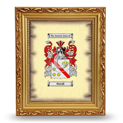 Natoli Coat of Arms Framed - Gold