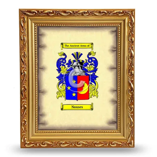 Nauses Coat of Arms Framed - Gold