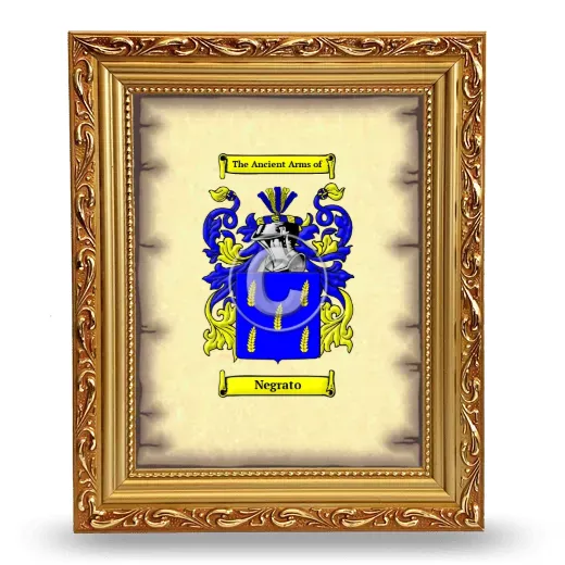 Negrato Coat of Arms Framed - Gold