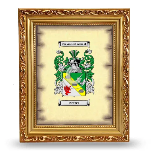 Netter Coat of Arms Framed - Gold