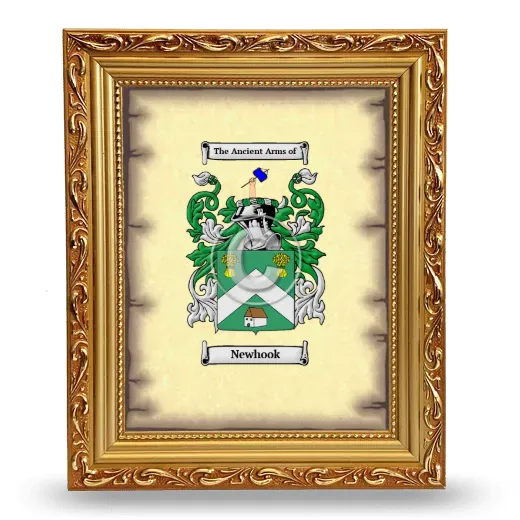 Newhook Coat of Arms Framed - Gold