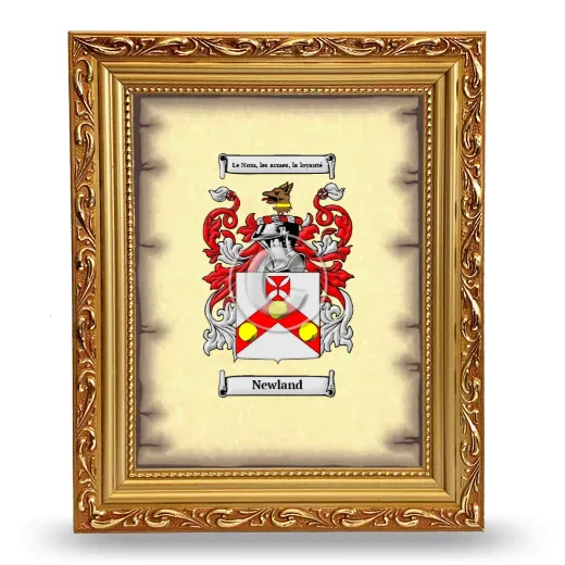 Newland Coat of Arms Framed - Gold