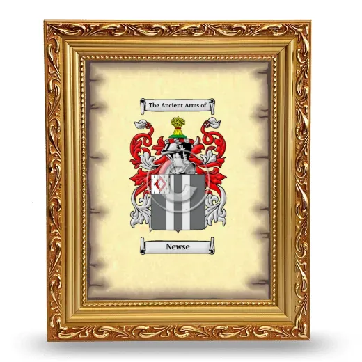 Newse Coat of Arms Framed - Gold