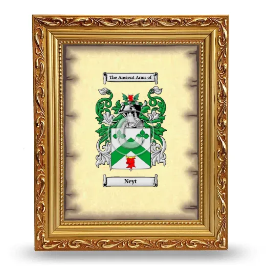 Neyt Coat of Arms Framed - Gold