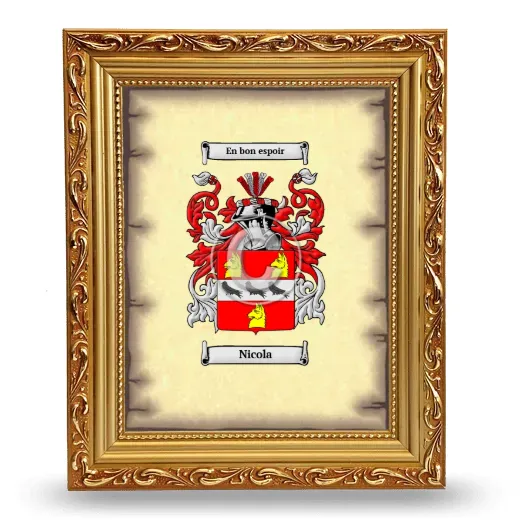 Nicola Coat of Arms Framed - Gold