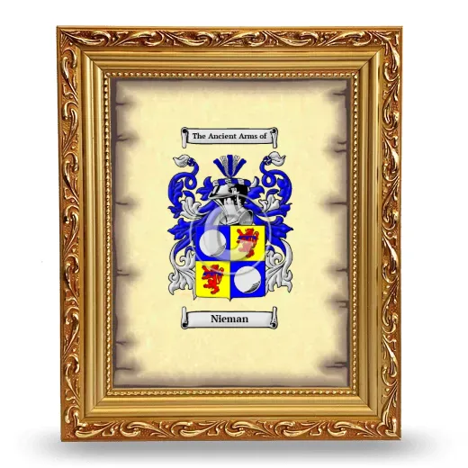 Nieman Coat of Arms Framed - Gold