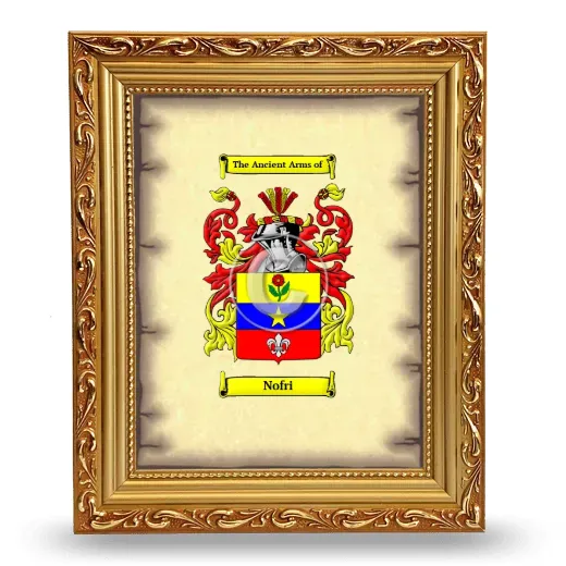 Nofri Coat of Arms Framed - Gold