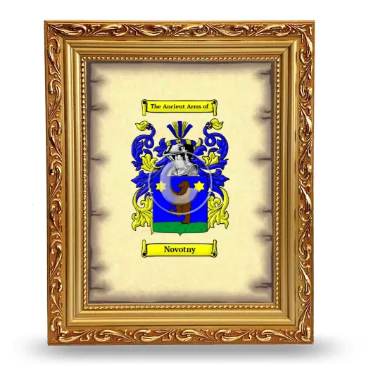 Novotny Coat of Arms Framed - Gold