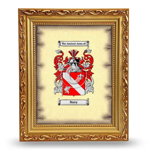 Novy Coat of Arms Framed - Gold