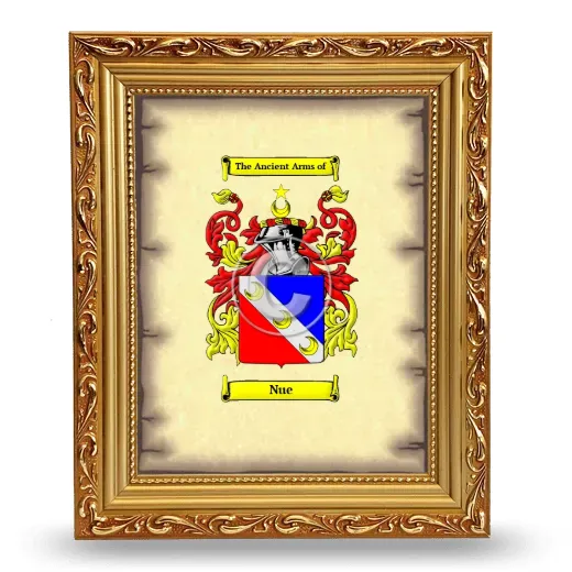 Nue Coat of Arms Framed - Gold
