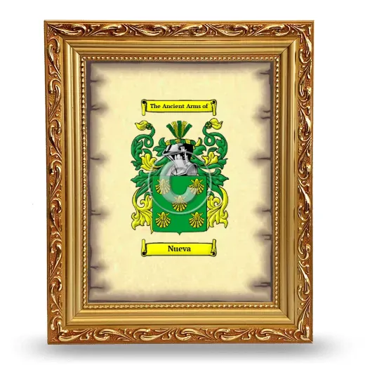Nueva Coat of Arms Framed - Gold