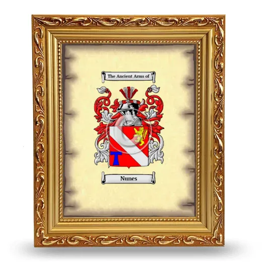 Nunes Coat of Arms Framed - Gold