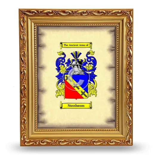 Nussbaum Coat of Arms Framed - Gold