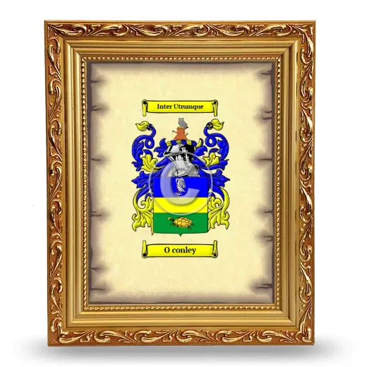 O conley Coat of Arms Framed - Gold