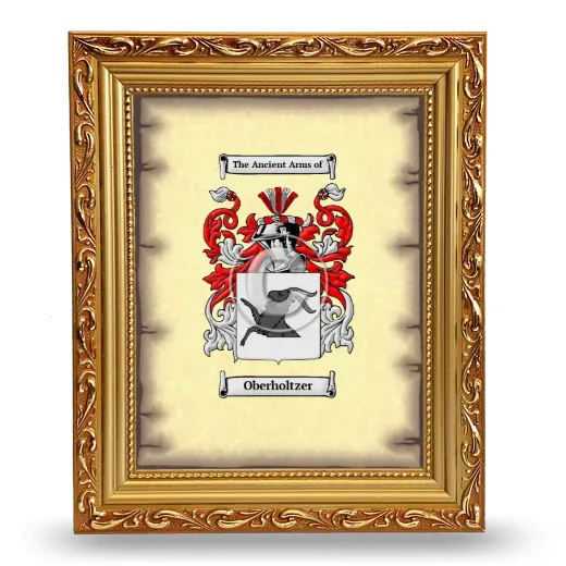 Oberholtzer Coat of Arms Framed - Gold