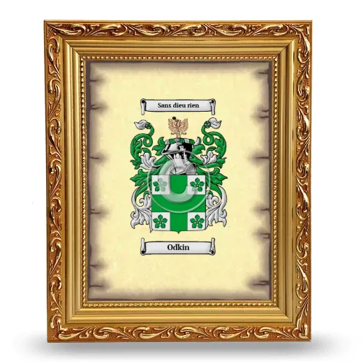 Odkin Coat of Arms Framed - Gold