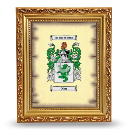 Olan Coat of Arms Framed - Gold