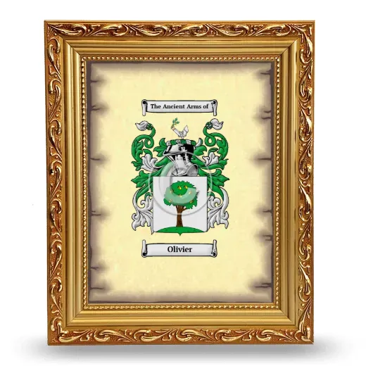 Olivier Coat of Arms Framed - Gold