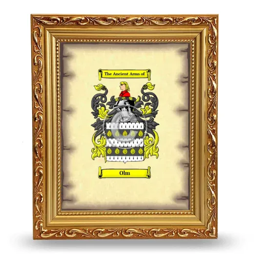 Olm Coat of Arms Framed - Gold