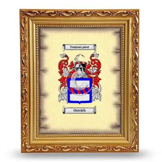 Ostrich Coat of Arms Framed - Gold