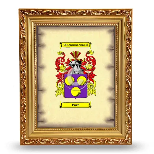 Pace Coat of Arms Framed - Gold