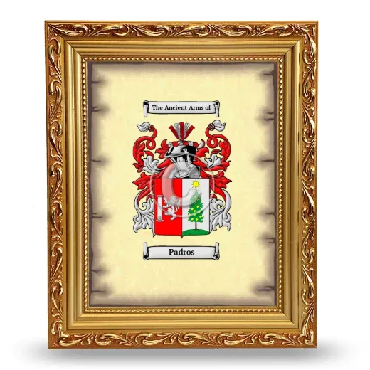 Padros Coat of Arms Framed - Gold