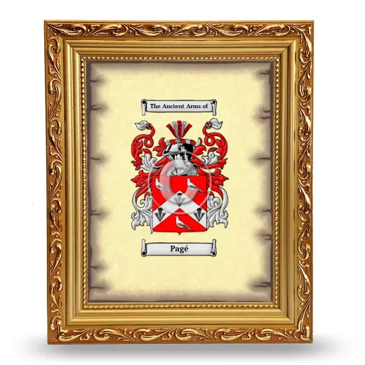 Pagé Coat of Arms Framed - Gold