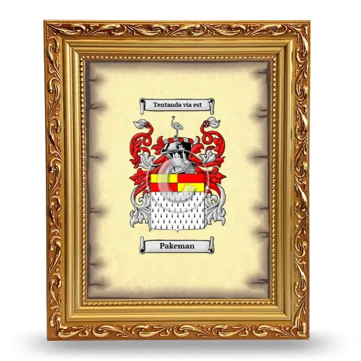 Pakeman Coat of Arms Framed - Gold