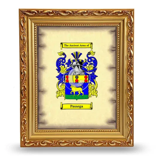 Passega Coat of Arms Framed - Gold