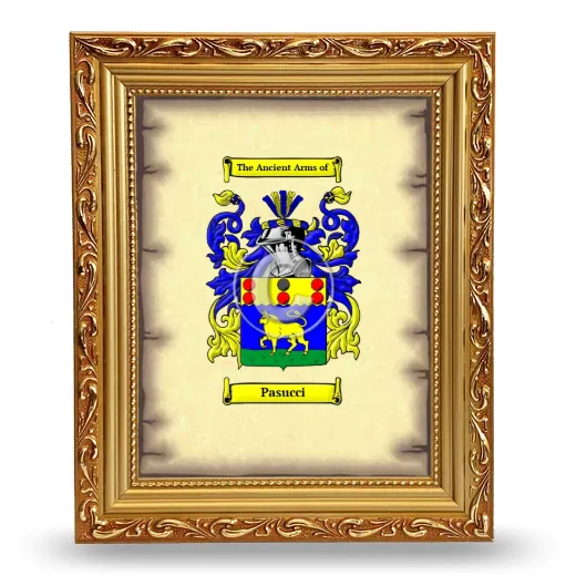 Pasucci Coat of Arms Framed - Gold