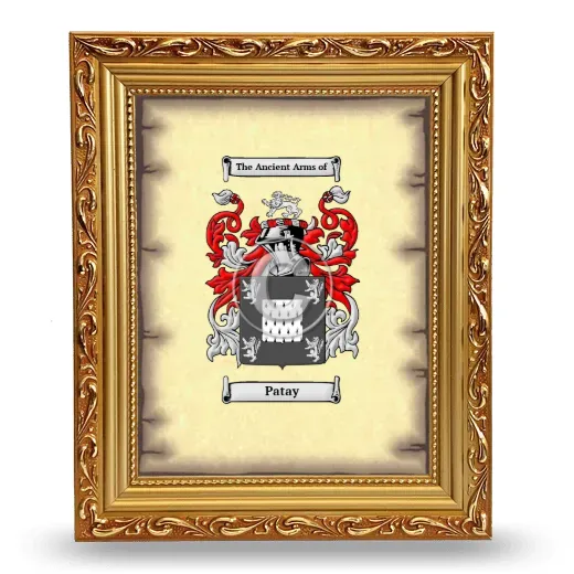 Patay Coat of Arms Framed - Gold