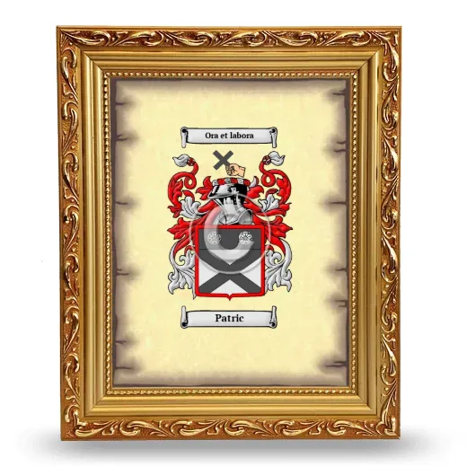 Patric Coat of Arms Framed - Gold