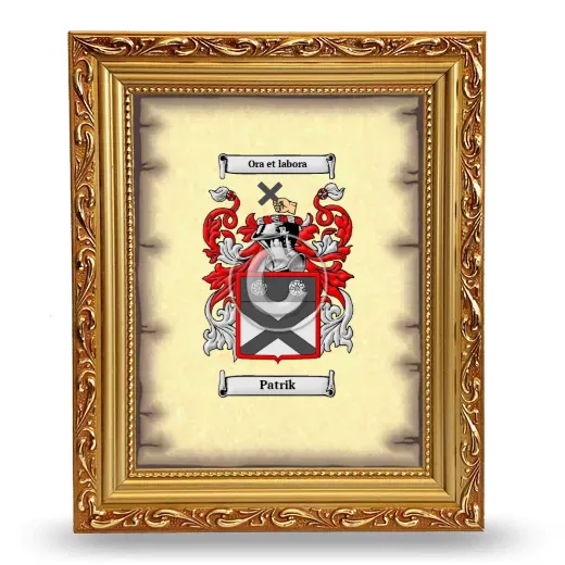 Patrik Coat of Arms Framed - Gold