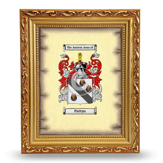 Pattyn Coat of Arms Framed - Gold