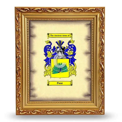 Paur Coat of Arms Framed - Gold