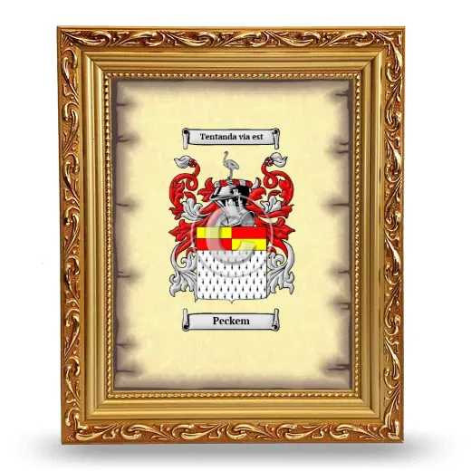 Peckem Coat of Arms Framed - Gold