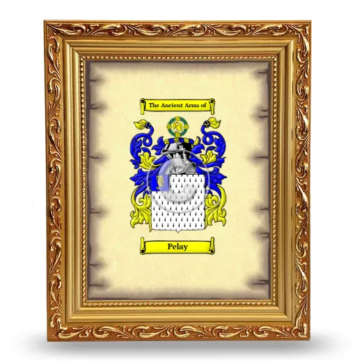 Pelay Coat of Arms Framed - Gold