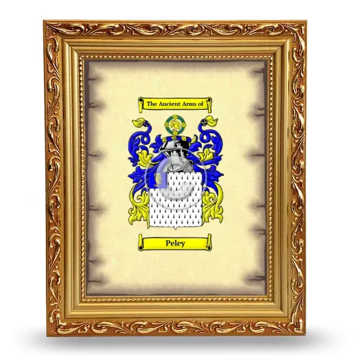 Peley Coat of Arms Framed - Gold