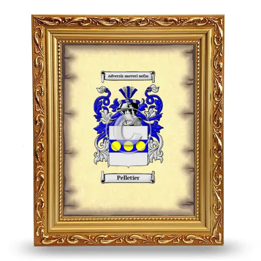 Pelletier Coat of Arms Framed - Gold