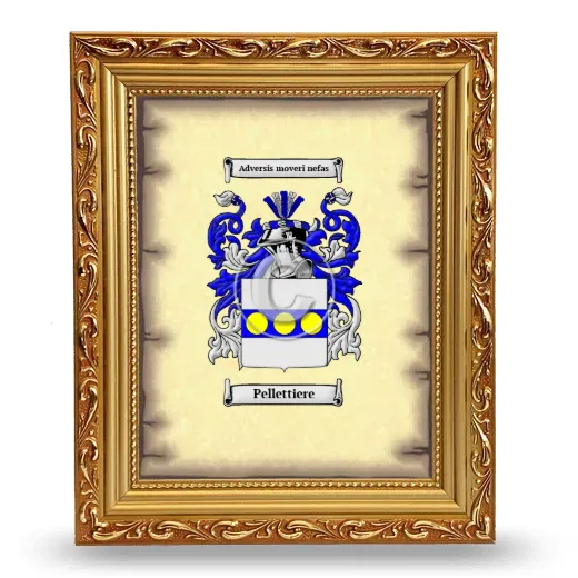 Pellettiere Coat of Arms Framed - Gold
