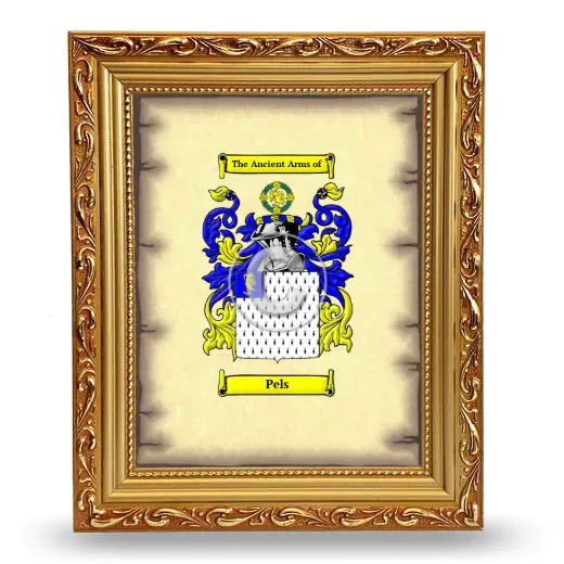 Pels Coat of Arms Framed - Gold