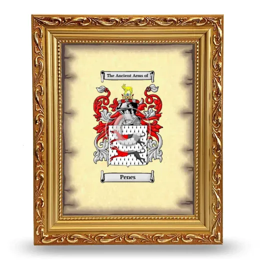 Penes Coat of Arms Framed - Gold